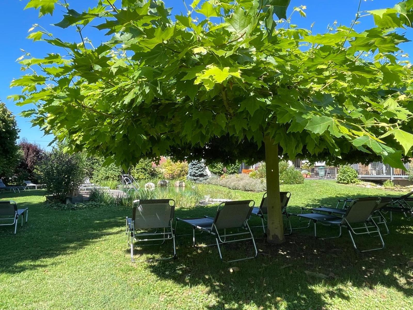 Weinresidenz Sonnleitner - Adults Only Otel Furth bei Gottweig Dış mekan fotoğraf