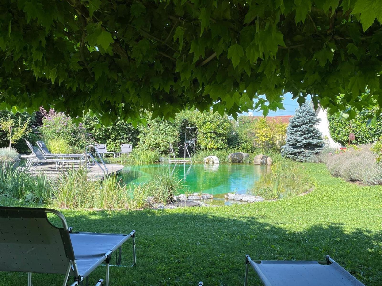 Weinresidenz Sonnleitner - Adults Only Otel Furth bei Gottweig Dış mekan fotoğraf